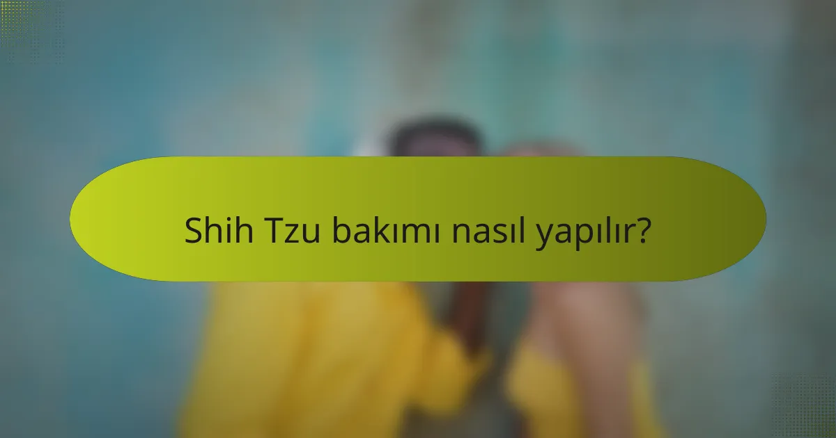 Shih Tzu bakımı nasıl yapılır?