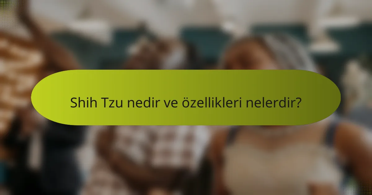 Shih Tzu nedir ve özellikleri nelerdir?