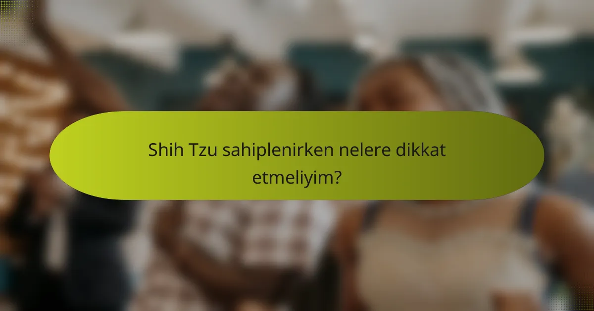 Shih Tzu sahiplenirken nelere dikkat etmeliyim?