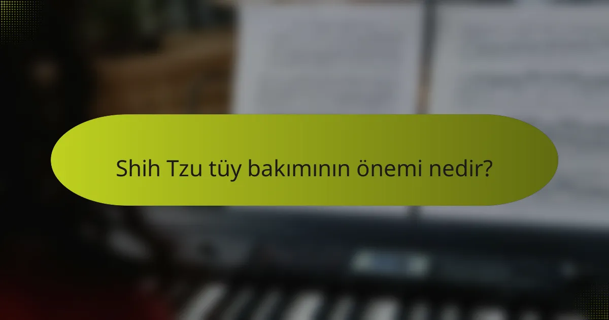 Shih Tzu tüy bakımının önemi nedir?