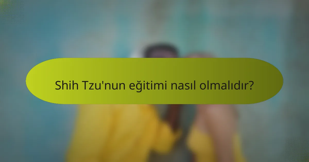 Shih Tzu'nun eğitimi nasıl olmalıdır?