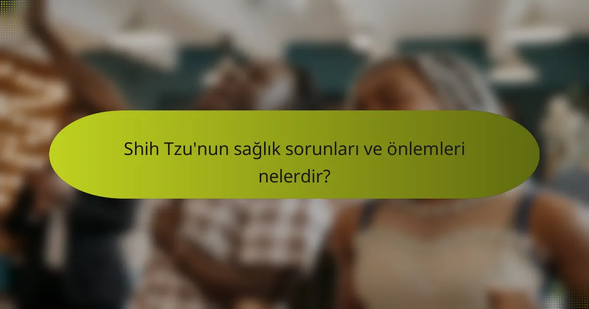 Shih Tzu'nun sağlık sorunları ve önlemleri nelerdir?