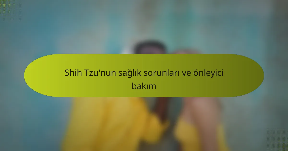 Shih Tzu'nun sağlık sorunları ve önleyici bakım