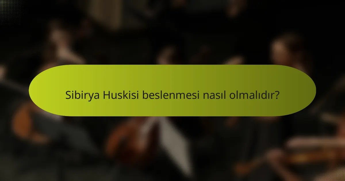 Sibirya Huskisi beslenmesi nasıl olmalıdır?