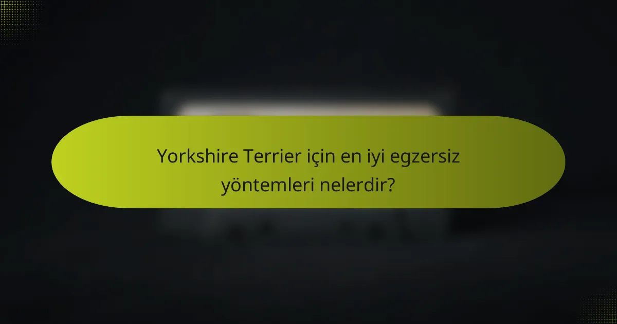 Yorkshire Terrier için en iyi egzersiz yöntemleri nelerdir?