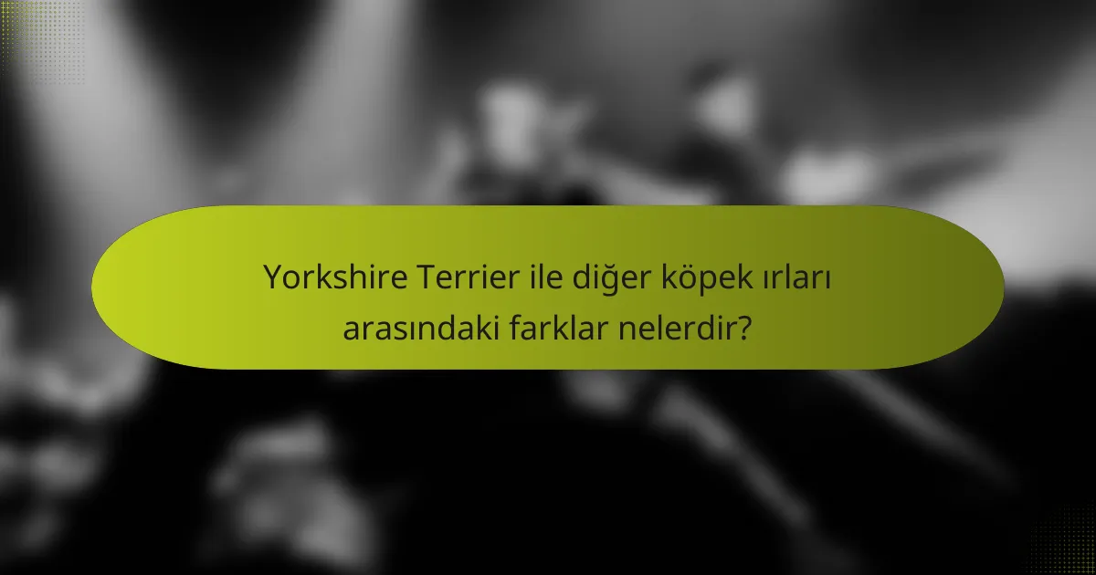 Yorkshire Terrier ile diğer köpek ırları arasındaki farklar nelerdir?
