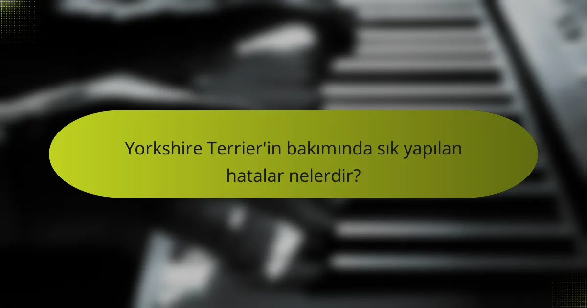 Yorkshire Terrier'in bakımında sık yapılan hatalar nelerdir?